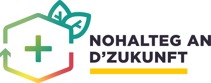 Logo Holalteg An D'Zukunft